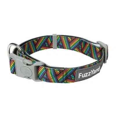 FuzzYard | Rainbow Northcote - Dog Collar-FuzzYard-Love My Hound