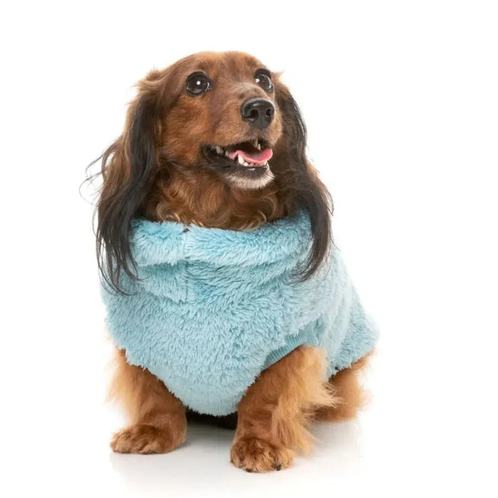 FuzzYard | Turtle Teddy 24 Sweater - Blue-FuzzYard-Love My Hound