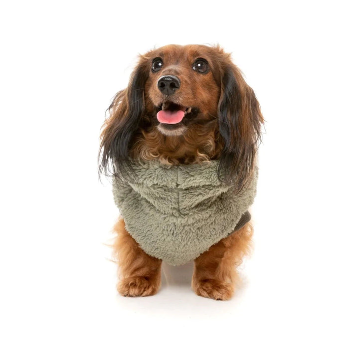 FuzzYard | Turtle Teddy Sweater - Rosemary-FuzzYard-Love My Hound