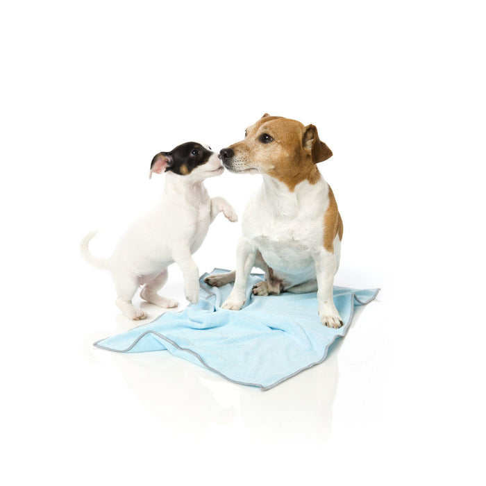 Fuzzyard | Microfibre Drying Towel For Puppies - Blue With Grey Trim-FuzzYard-Love My Hound