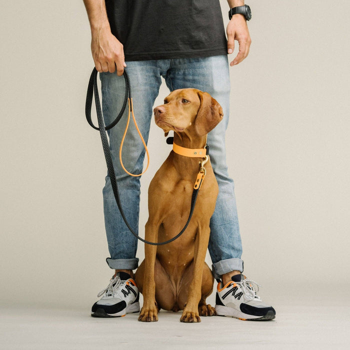 GULA | Anti Slip Biothane Dog Lead-GULA-Love My Hound