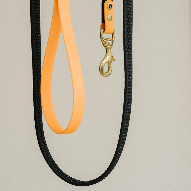 GULA | Anti Slip Biothane Dog Lead-GULA-Love My Hound