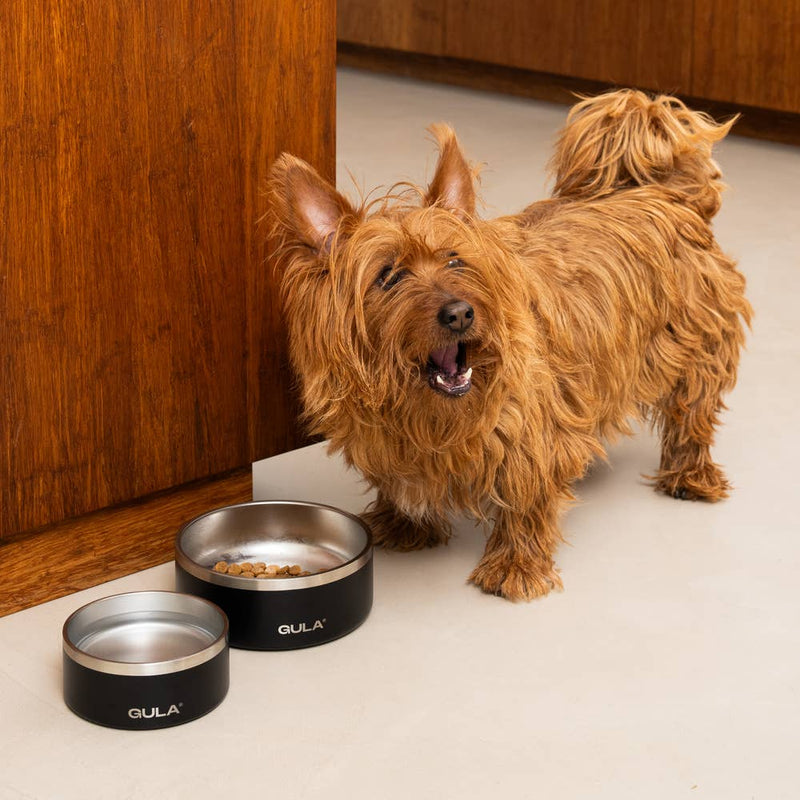 GULA | Double walled and insulated - Black Dog Bowl-GULA-Love My Hound