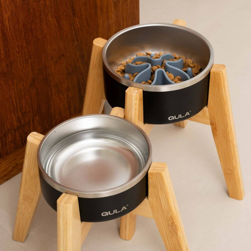 Black dog bowls best sale