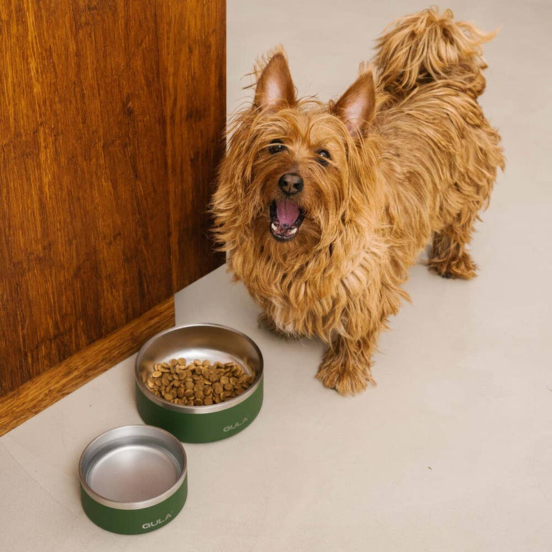 GULA | Double walled and insulated - Olive Green Dog Bowl-GULA-Love My Hound