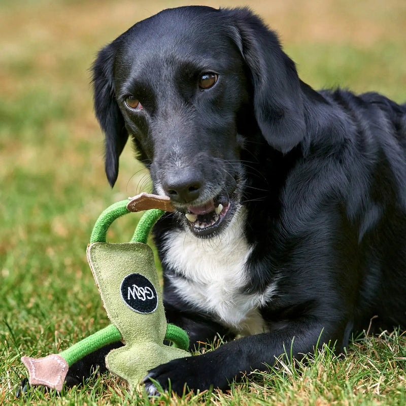 Green & Wilds | Eco Dog Toy - Francois Le Frog-Green & Wilds-Love My Hound