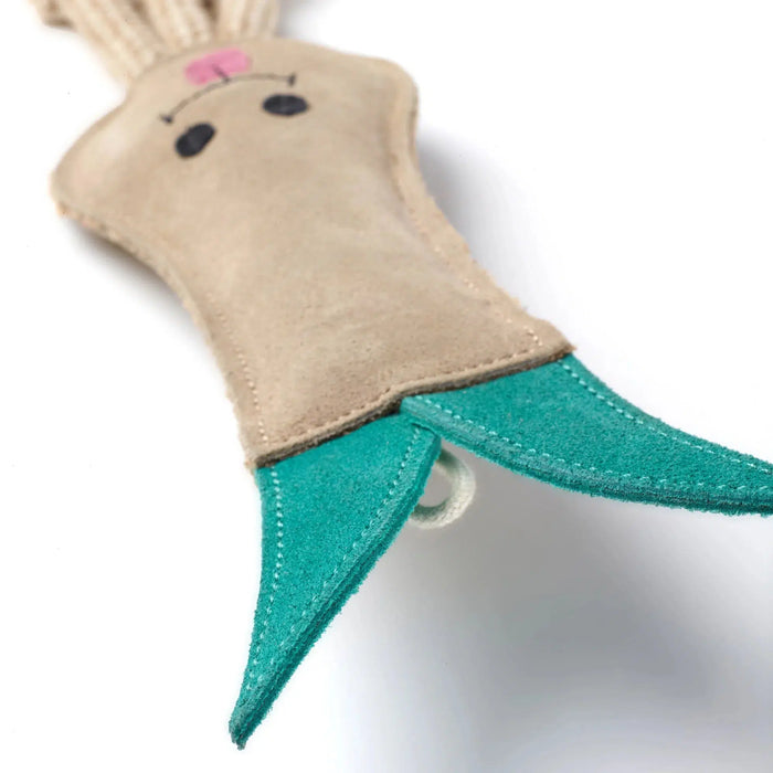 Green & Wilds | Eco Dog Toy - Lenny the Leek-Green & Wilds-Love My Hound