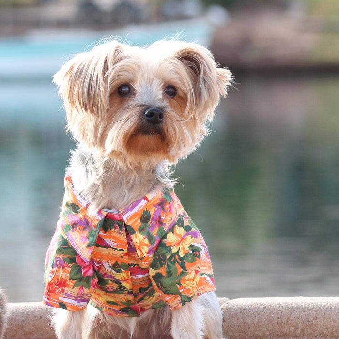 Hawaiian Camp Shirt - Sunset Hibiscus-Doggie Design-Love My Hound