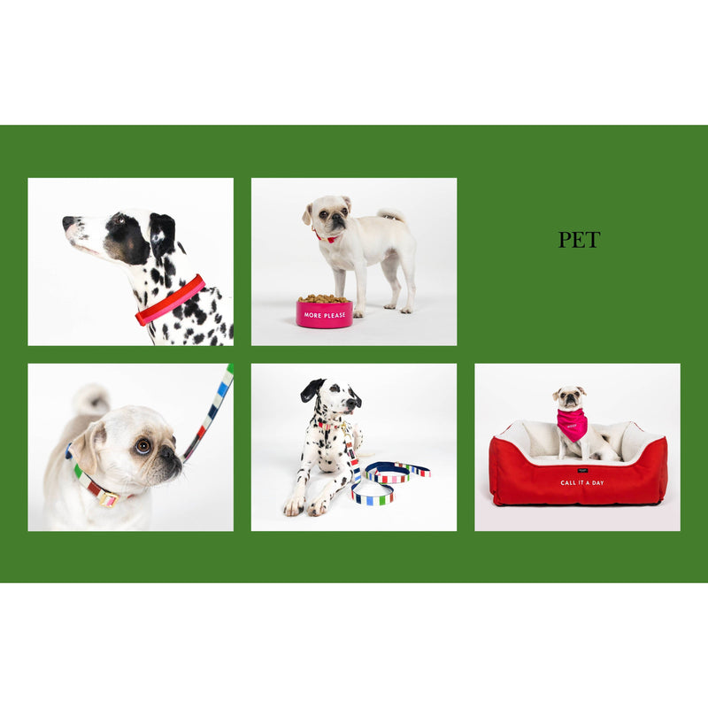 Kate Spade New York | Adventure Stripe - Dog Bandana-Kate Spade New York-Love My Hound