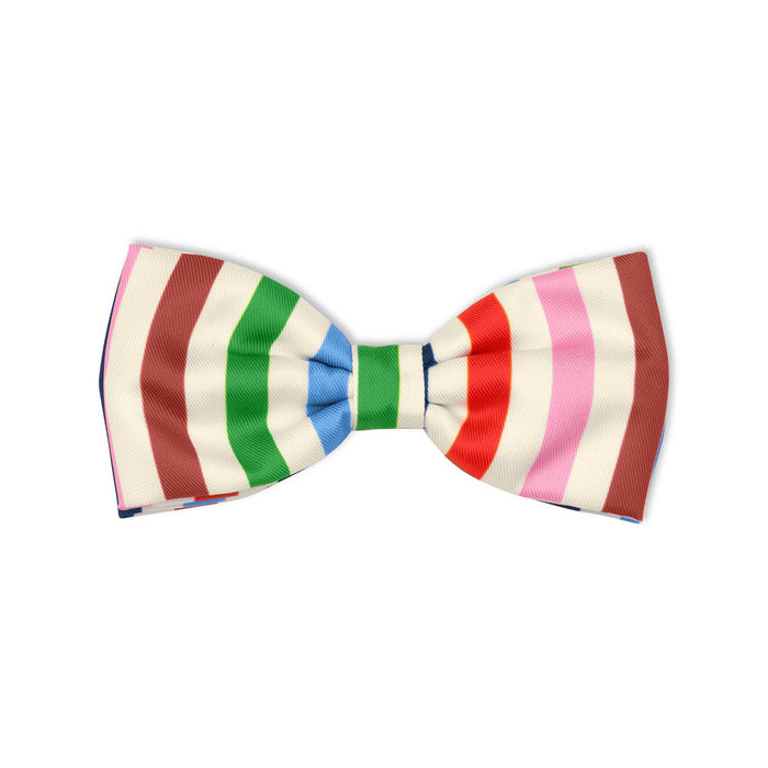 Kate Spade New York | Adventure Stripe Dog Bow-Tie-Kate Spade New York-Love My Hound