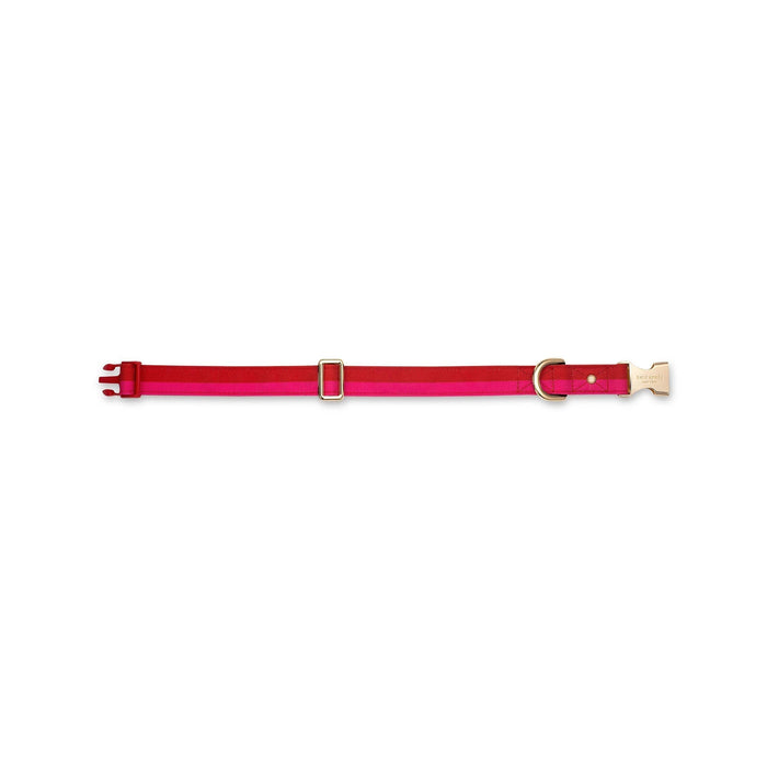 Kate Spade New York | Red and Pink Stripe - Dog Collar-Kate Spade New York-Love My Hound