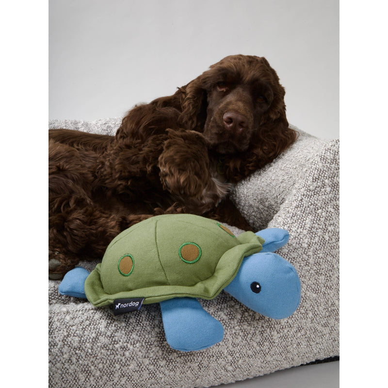 Nordog | Kim The Turtle - Plush Dog Toy-Nordog-Love My Hound