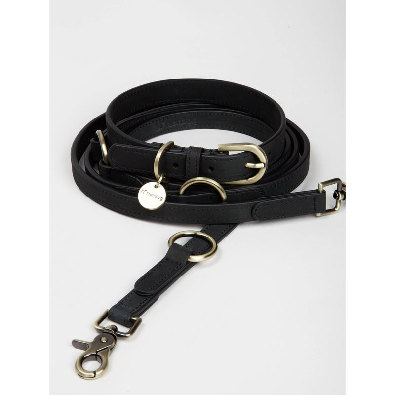 Nordog | Thomas Dog Collar Coal-Nordog-Love My Hound