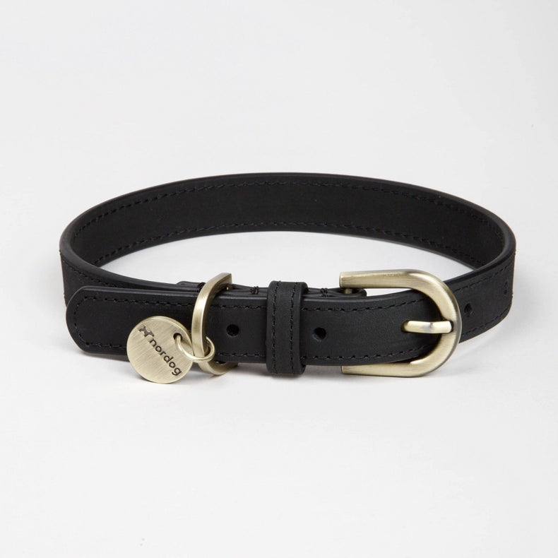 Dog Collars & Leads – Love My Hound