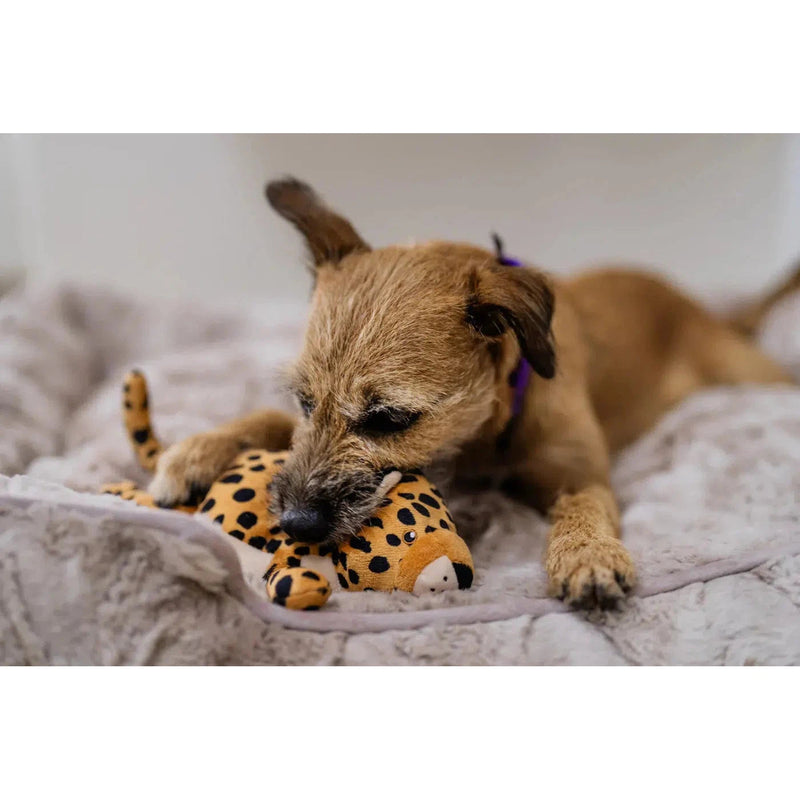 P.L.A.Y | Big 5 of Africa - Leopard Plush Dog Toy-P.L.A.Y-Love My Hound