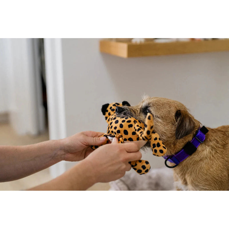 P.L.A.Y | Big 5 of Africa - Leopard Plush Dog Toy-P.L.A.Y-Love My Hound