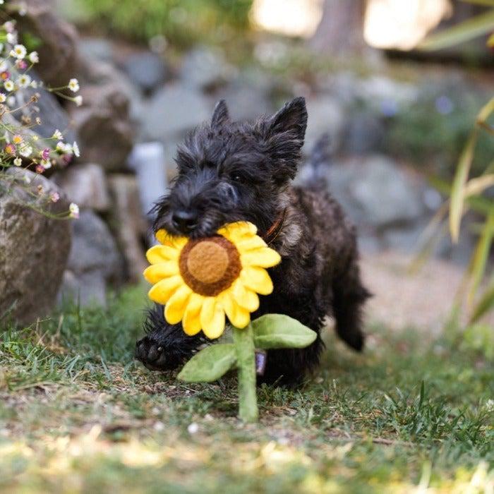 P.L.A.Y - Blooming Buddies - Sassy Sunflower Dog Toy-P.L.A.Y-Love My Hound