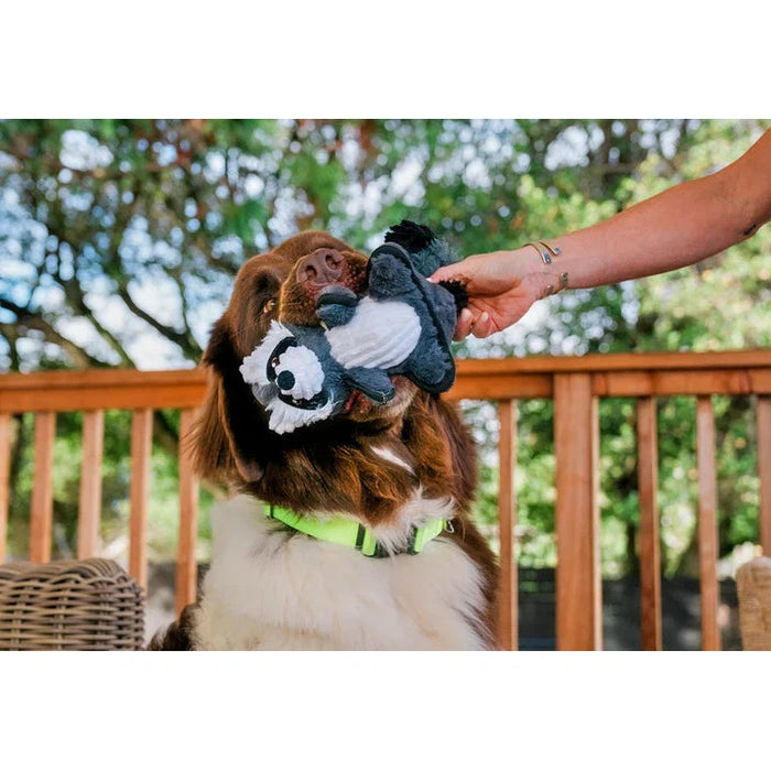 P.L.A.Y | Forest Friends Robby the Raccoon - Plush Dog Toy-P.L.A.Y-Love My Hound