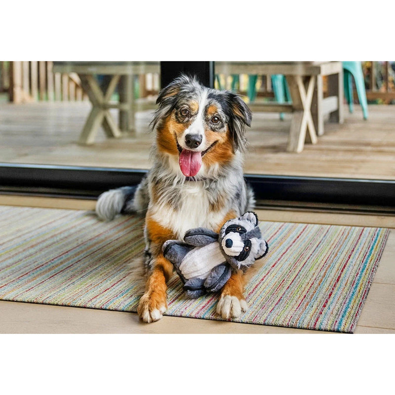 P.L.A.Y | Forest Friends Robby the Raccoon - Plush Dog Toy-P.L.A.Y-Love My Hound