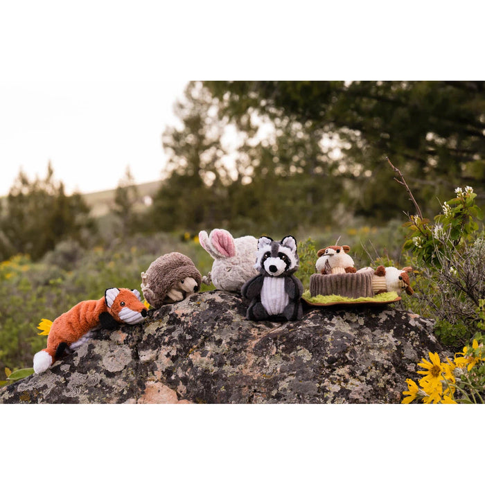 P.L.A.Y | Forest Friends Robby the Raccoon - Plush Dog Toy-P.L.A.Y-Love My Hound