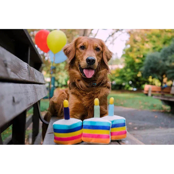 P.L.A.Y | Party Time Bone - Appetit Birthday Cake Dog Toy-P.L.A.Y-Love My Hound