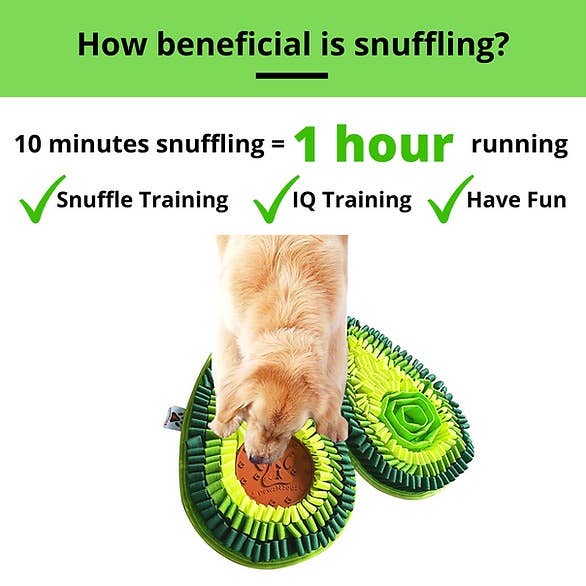 PawsNDogz | Delicious Avocado™ Anti-Bite Snuffle Mat | Challenge Level 3-PawzNDogz-Love My Hound