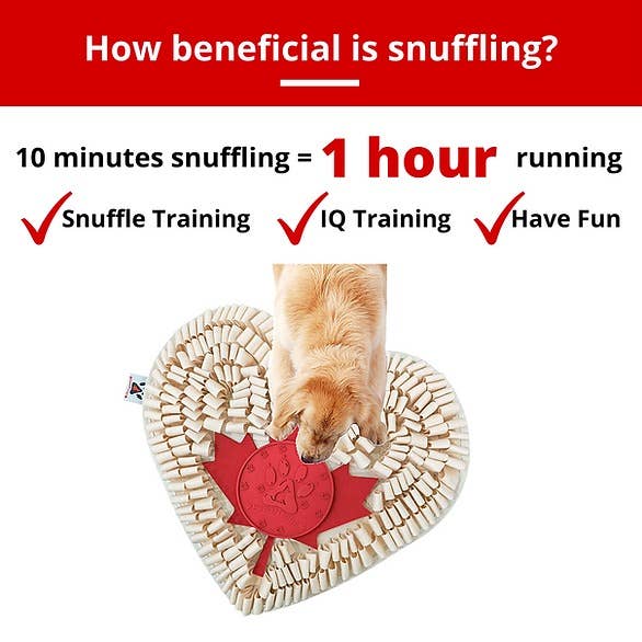 PawzNDogz | Boundless Love™ Anti-Bite Snuffle Mat | Challenge Level 3-PawzNDogz-Love My Hound