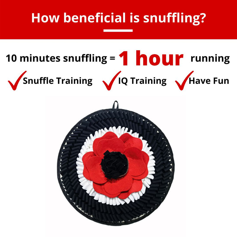 PawzNDogz | Flower Power™ Anti-Bite Snuffle Mat | Challenge Level 3-PawzNDogz-Love My Hound