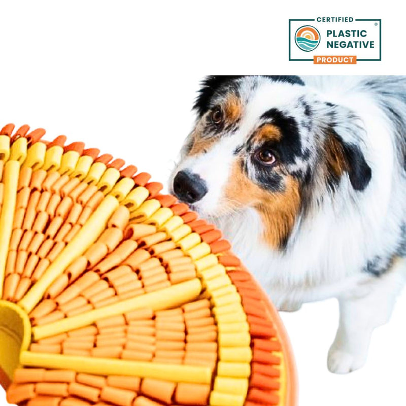 PawzNDogz | Tangy Orange™ Snuffle Mat - Challenge Level 2-PawzNDogz-Love My Hound