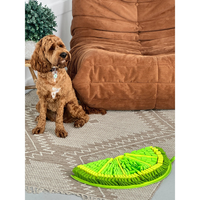 PawzNDogz | Zesty Lime™ Snuffle Mat - Challenge Level 2-PawzNDogz-Love My Hound