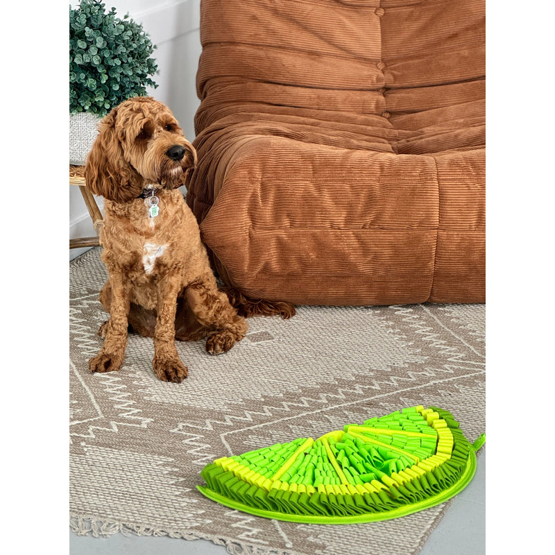 PawzNDogz | Zesty Lime™ Snuffle Mat - Challenge Level 2-PawzNDogz-Love My Hound