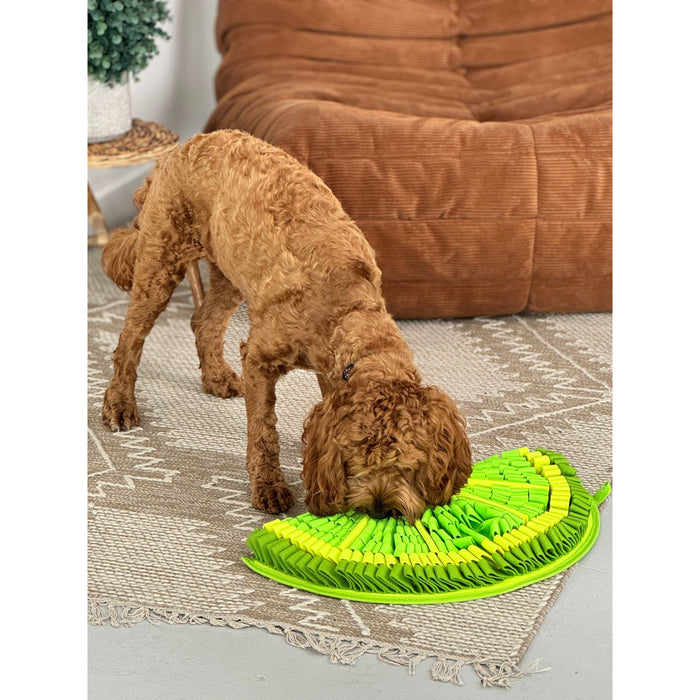 PawzNDogz | Zesty Lime™ Snuffle Mat - Challenge Level 2-PawzNDogz-Love My Hound