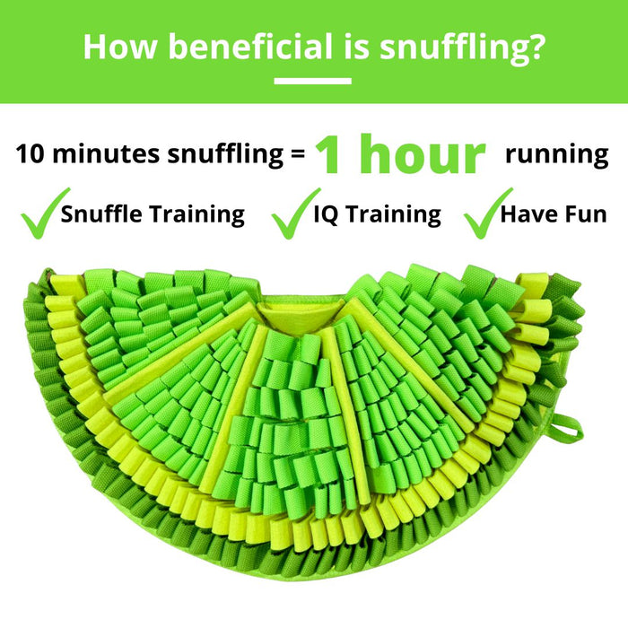 PawzNDogz | Zesty Lime™ Snuffle Mat - Challenge Level 2-PawzNDogz-Love My Hound