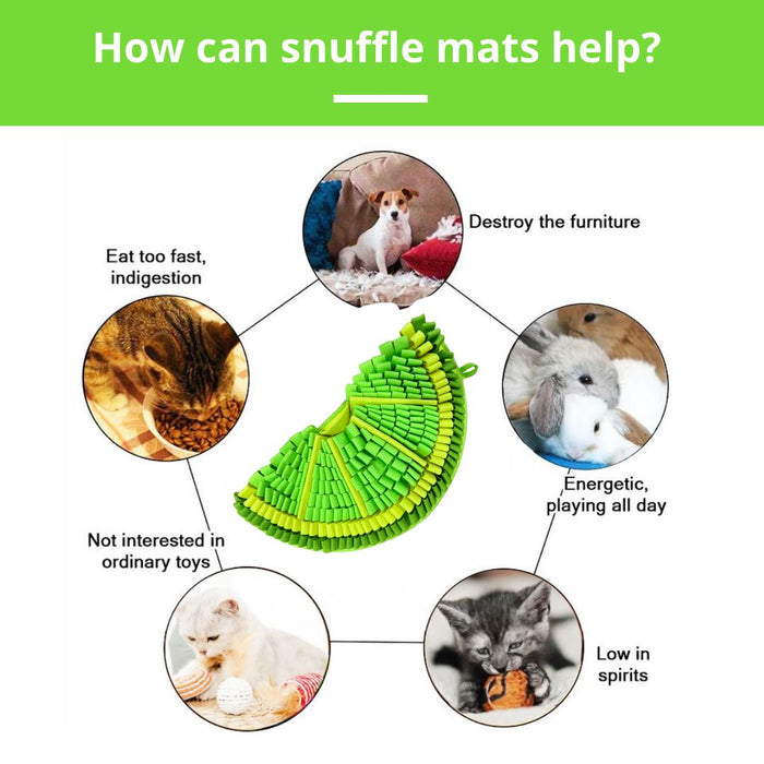 PawzNDogz | Zesty Lime™ Snuffle Mat - Challenge Level 2-PawzNDogz-Love My Hound