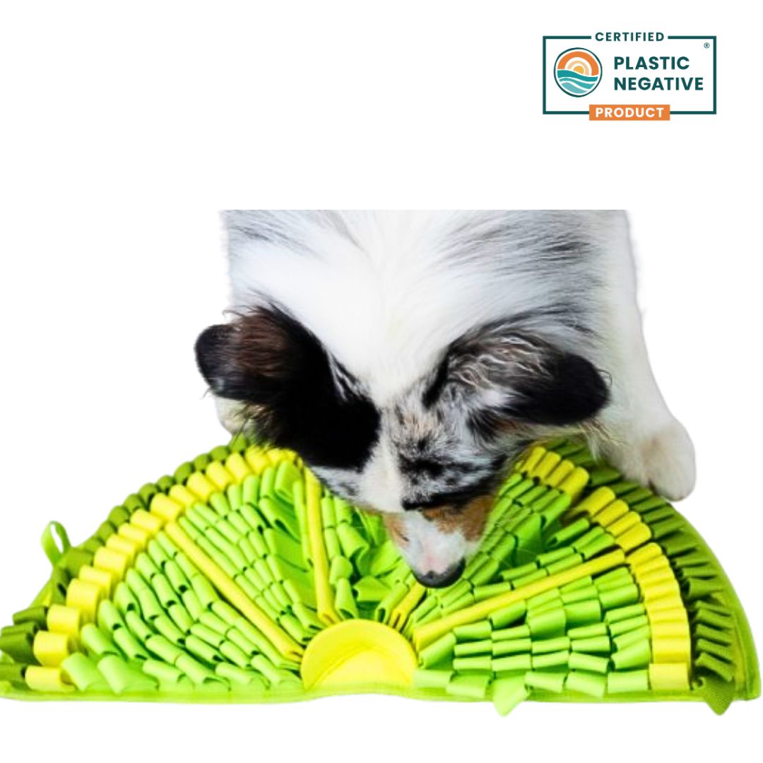 PawzNDogz | Zesty Lime™ Snuffle Mat - Challenge Level 2-PawzNDogz-Love My Hound