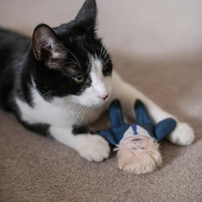 Pet Hates | Boris Johnson - Cat Toy-Pet Hates-Love My Hound