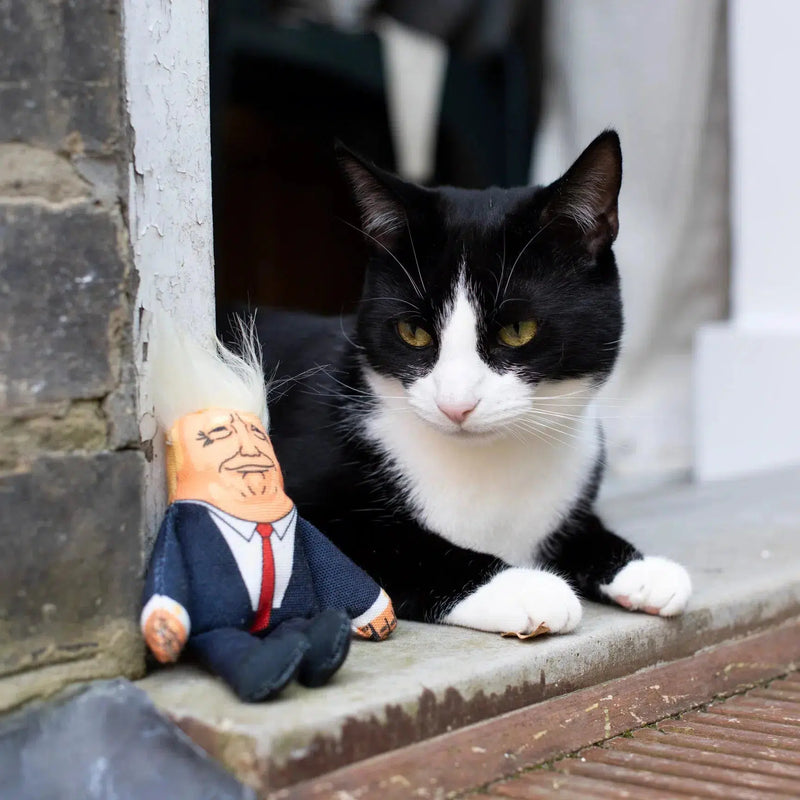 Pet Hates | Donald Trump - Cat Toy-Pet Hates-Love My Hound