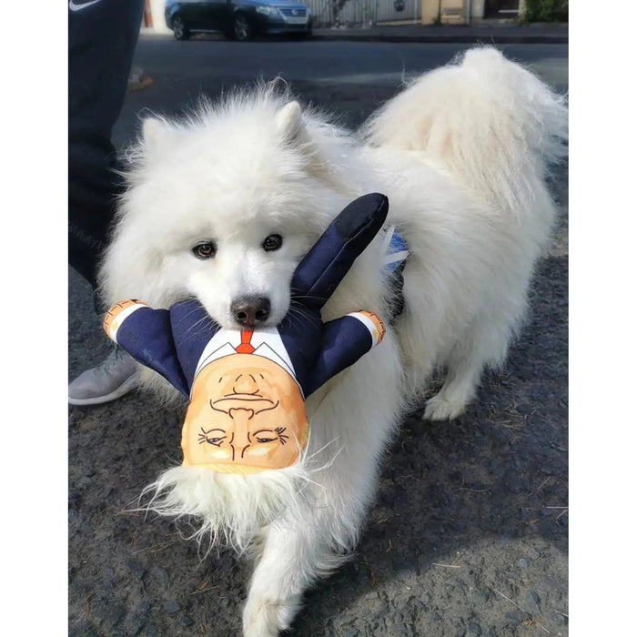 Pet Hates | Donald Trump - Dog Toy-Pet Hates-Love My Hound