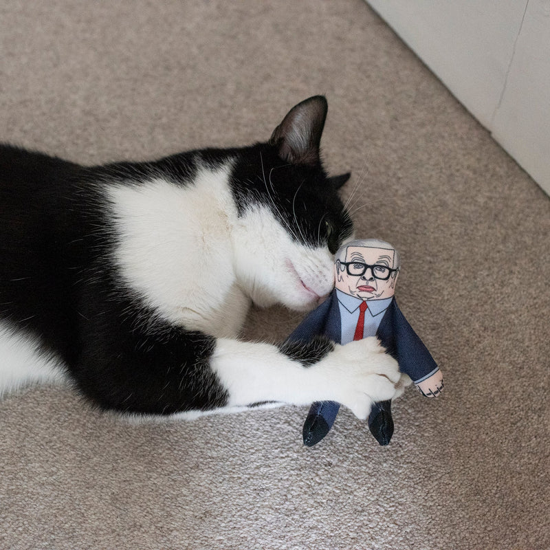 Pet Hates | Michael Gove - Cat Toy-Pet Hates-Love My Hound