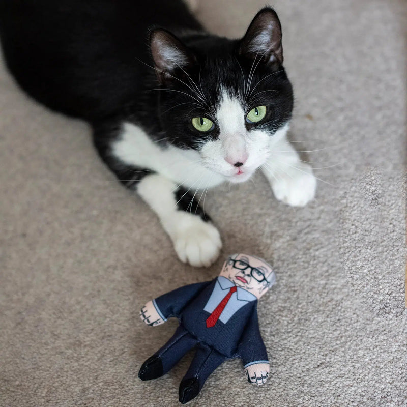 Pet Hates | Michael Gove - Cat Toy-Pet Hates-Love My Hound