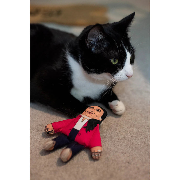 Pet Hates | Priti Patel - Cat Toy-Pet Hates-Love My Hound