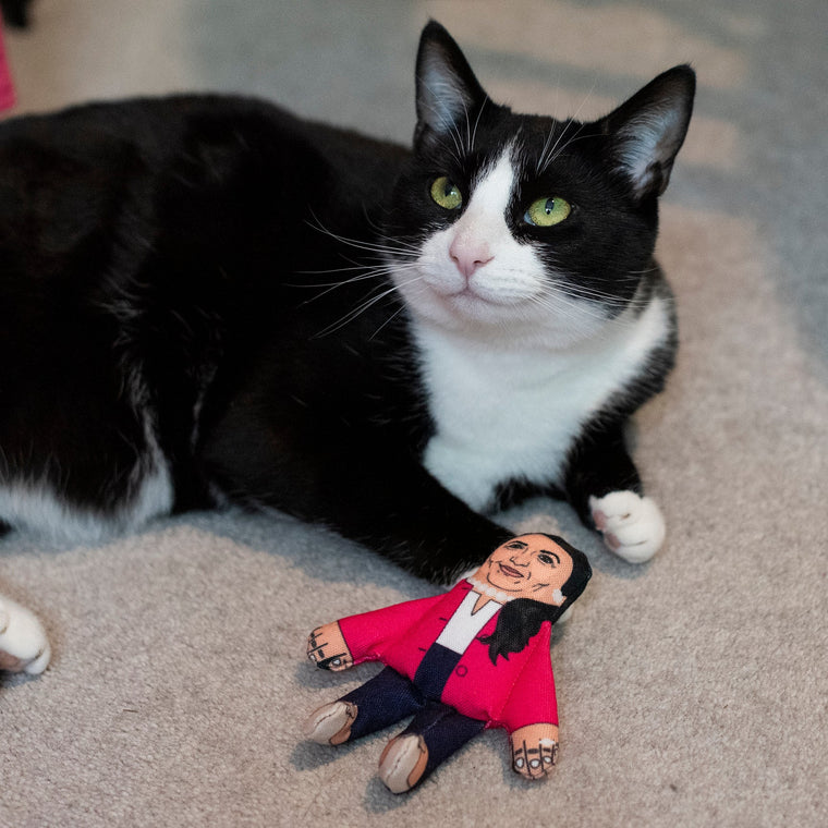 Pet Hates | Priti Patel - Cat Toy