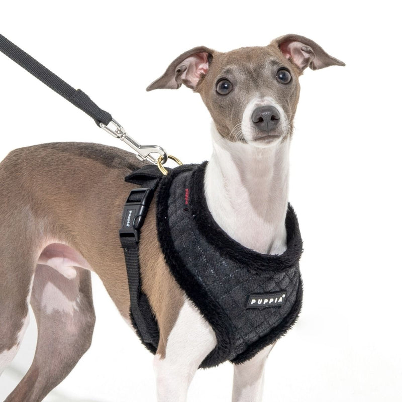 Puppia | Douglas Dog Harness (A) - Beige-Puppia-Love My Hound