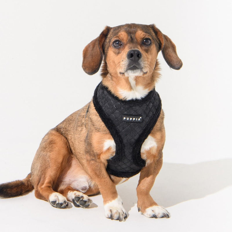 Puppia | Douglas Dog Harness (A) - Beige-Puppia-Love My Hound