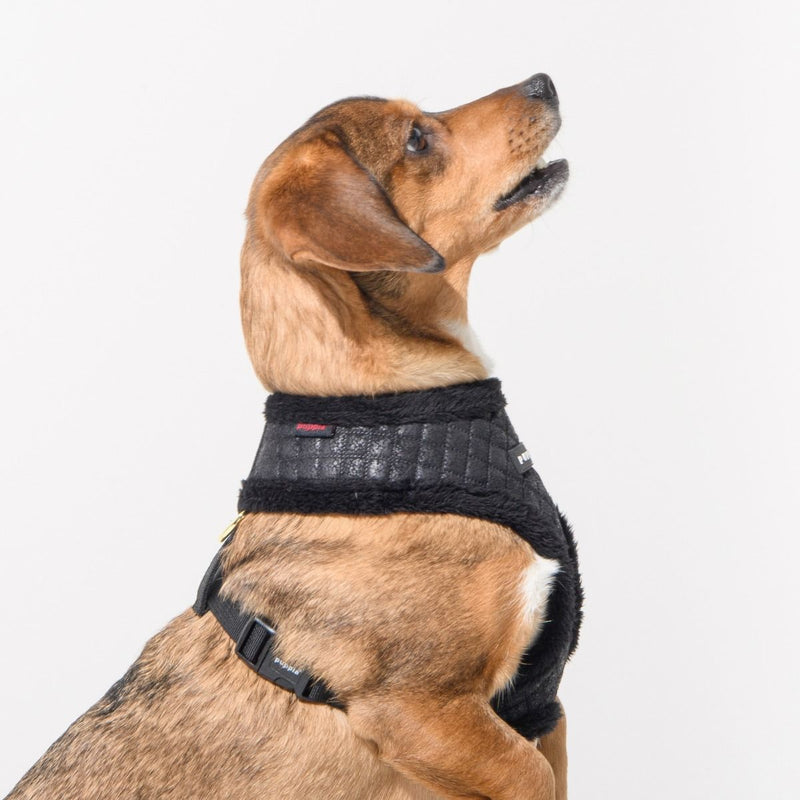 Puppia | Douglas Dog Harness (A) - Beige-Puppia-Love My Hound