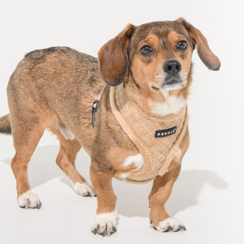 Puppia | Douglas Dog Harness (A) - Beige-Puppia-Love My Hound