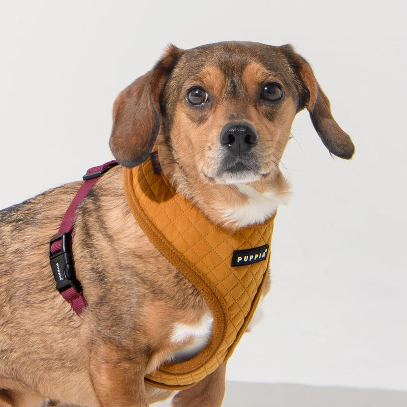 Puppia | Irvin Quilted Dog Harness (A) - Mustard-Puppia-Love My Hound