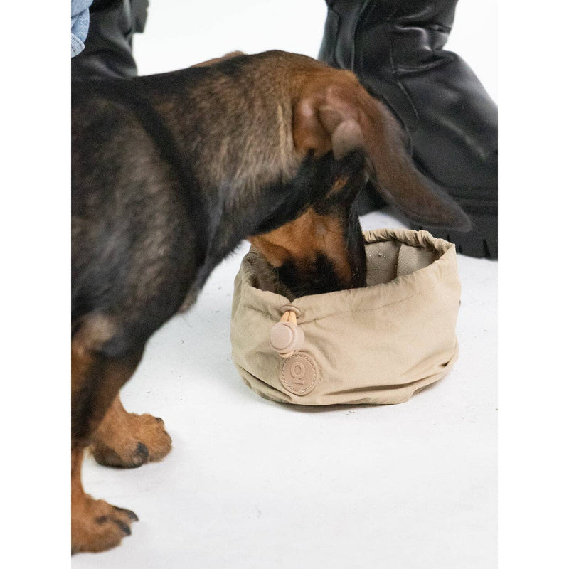 Qisu | Dog Portable Bowl - Pocket Bowl™-Qisu-Love My Hound