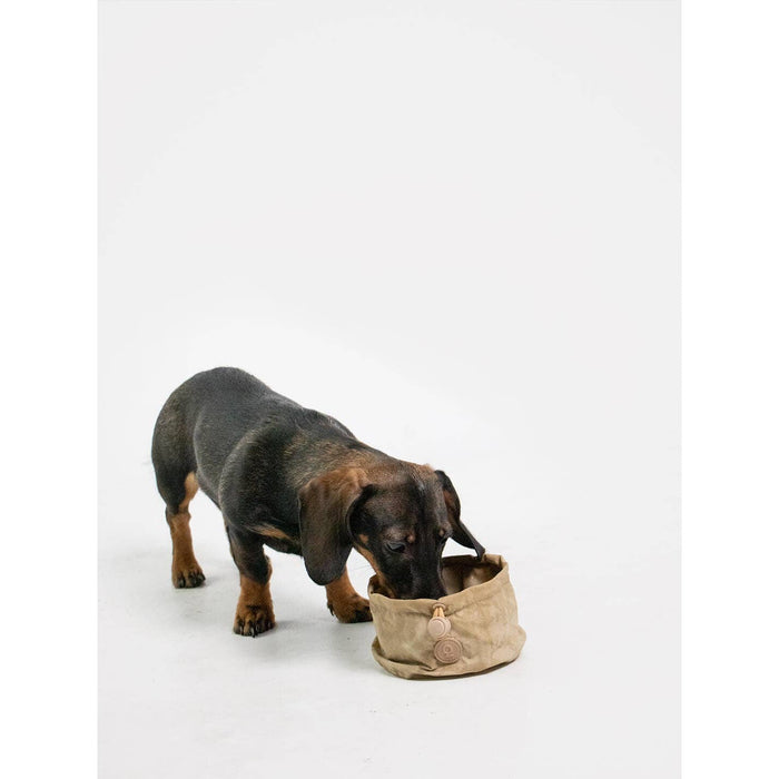 Qisu | Dog Portable Bowl - Pocket Bowl™-Qisu-Love My Hound