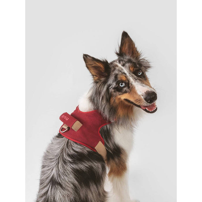 Qisu | Hug Dog Harness - Garnet-Qisu-Love My Hound